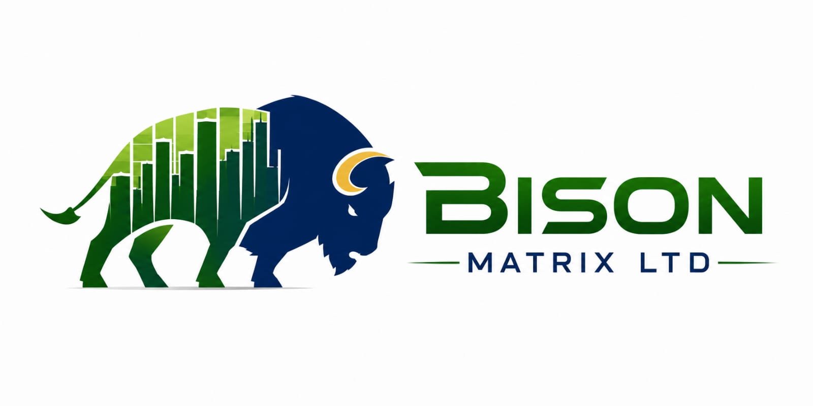 Bison Matrix Ltd